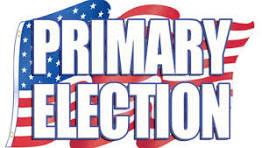 Primary Election Image