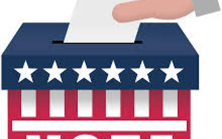 Vote Image